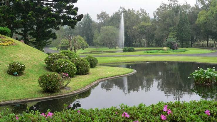 Keseruan Wisata Cibodas Botanical Gardens