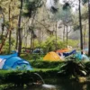 2 Rekomendasi Tempat Camping Terbaik Ramah Kantong di Bogor