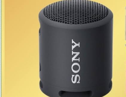 Sony SRS-XB12 Speaker Aktif Portabel Yang Praktis