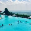 Berenang di Atas Awan