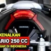 kehadiran vario 250cc