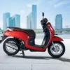 Honda Scoopy