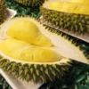 Rekomendasi Tempat Makan Durian Murah Meriah di Cibinong Bogor (foto by Ayo Bogor)