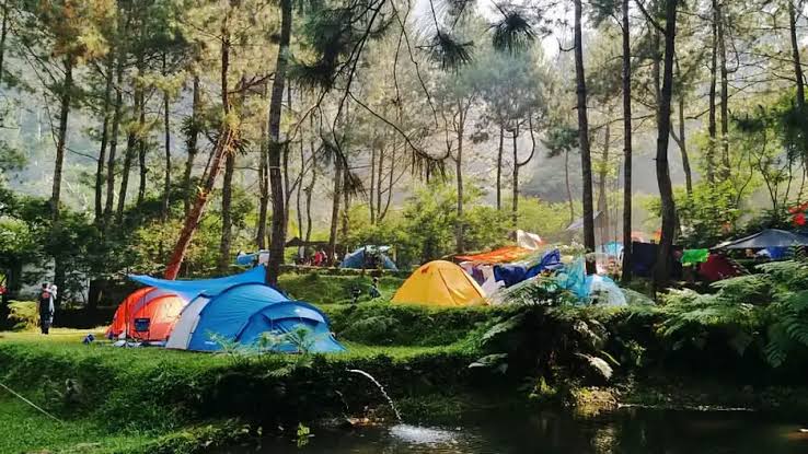 5 Deretan Tempat Camping Worth It di Bogor, Nyaman Poll