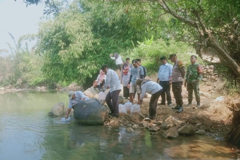 Diskan Gencar Lepaskan Benih Ikan ke Sungai