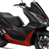 Honda PCX Destroyer