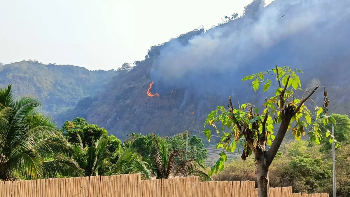 Tebing Puncak Habibi di Cisolok Terbakar