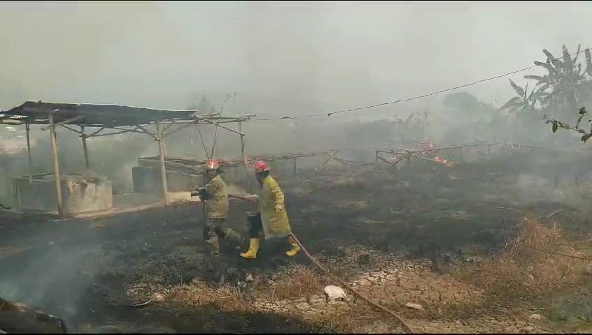 Gudang Penyimpanan Ikan Asin Ludes Terbakar