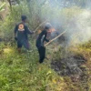 Gunung Walat Langganan Karhutla, Terjadi Setiap Kemarau Panjang