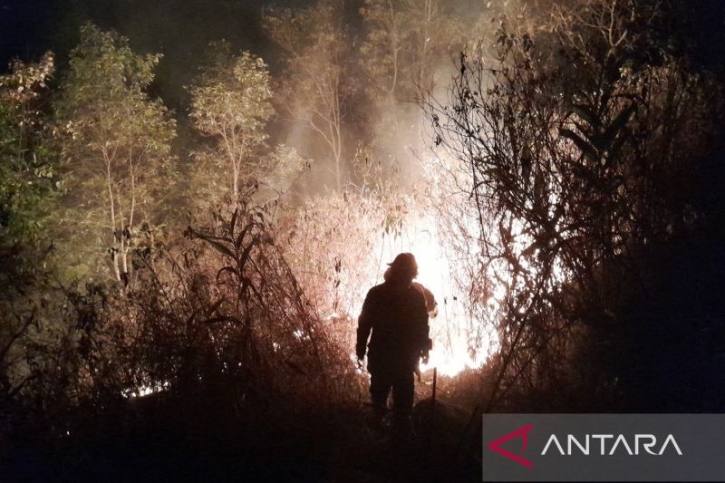 Sehari Tiga Kali Kebakaran Lahan,Dipicu Kondisi Kemarau Panjang