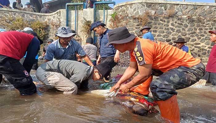 Perbaiki Bendungan Antisipasi Gagal Panen