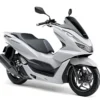 Honda PCX Destroyer