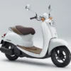 Honda Scoopy 160 Stylo