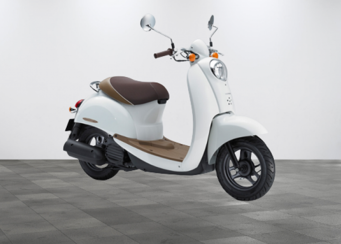 Honda Scoopy Stylo 160