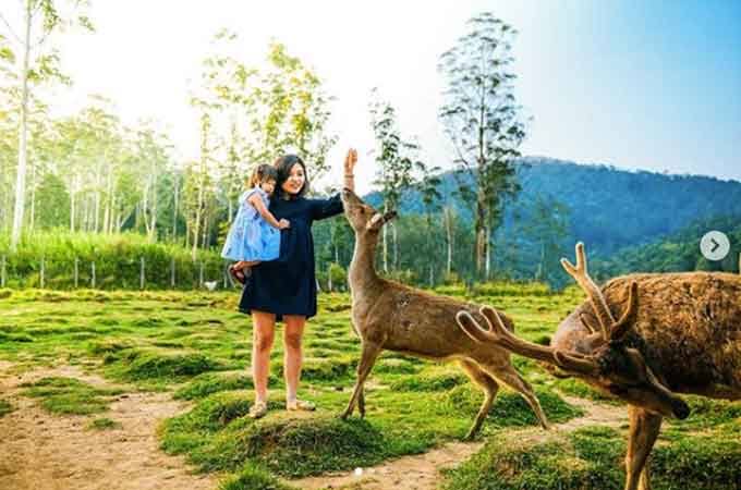 3 Wisata Ramah Anak di Bandung Selatan, Dijamin Betah 