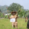 Hujan Mulai Turun, Petani Persiapan Masa Tanam