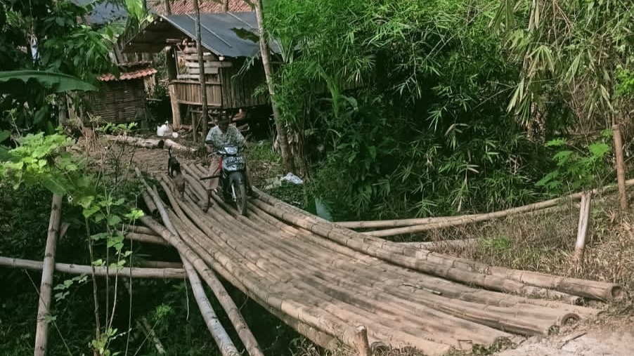 Setiap Hari Lintasi Jembatan Bambu yang Rapuh