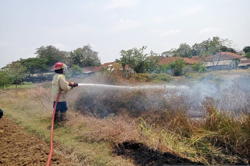 Kebakaran Lahan Diduga Ulah ODGJ