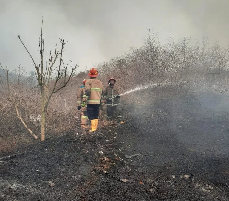 Lahan di TPA Cikundul Terbakar