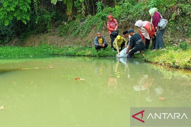 Diskan Sukabumi Tebar Ribuan Benih Ikan Lokal