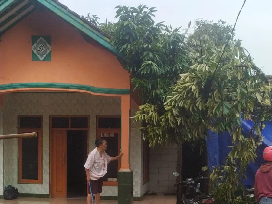 Dua Unit Rumah Tertimpa Pohon Tumbang Akibat Angin Kencang