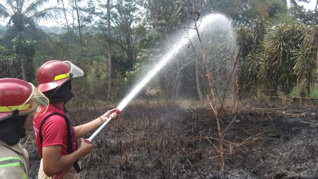 Terjadi 222 Kali Kebakaran Lahan