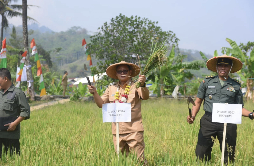 Pj Walkot Semringah Bisa Lihat Persawahan