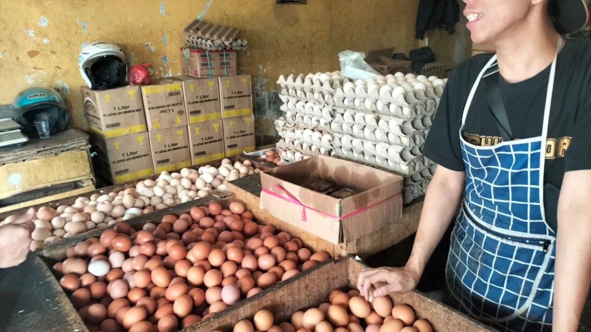Harga Telur Ayam Naik