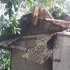 Satu Unit Rumah di Nagrak Rusak Akibat Tertimpa Pohon 