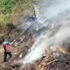 Tempat Penampungan Limbah Triplek di Cibatu Ludes Terbakar