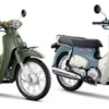 Honda New Supercub 110 Kombinasi Desain Klasik Dan Fitur Modern