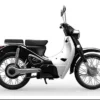 Zongshen Monterey Motor Listrik Mirip Honda Super Cub