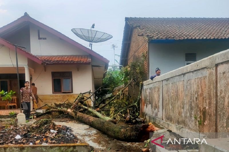 Bencana Didominasi Angin Kencang, Terjadi Selama Periode Oktober