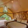 Wisata Glamping