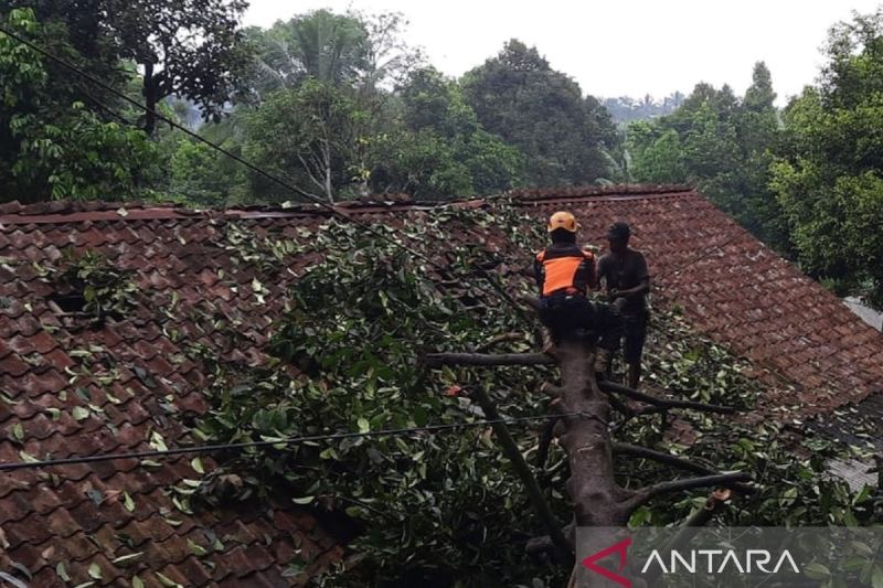 Sejumlah Kecamatan Diterjang Bencana