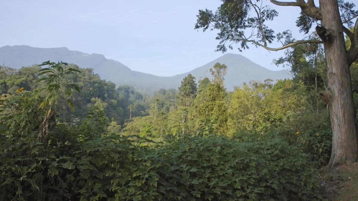 Gunung Gede Pangrango National Park