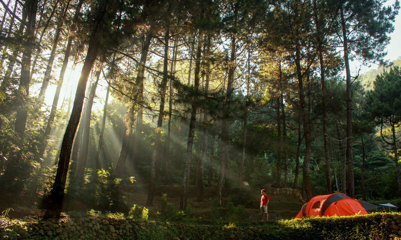 Inilah Rekomendasi Tempat Camping Termurah Ajak Keluarga Kalian Tempat Camping