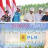 Presiden Jokowi Groundbreaking Pembangunan PLTS PLN 50 MW di IKN Nusantara, Hadirkan 100% Energi Bersih