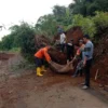 Tanah Longsor Terjang Sukabumi