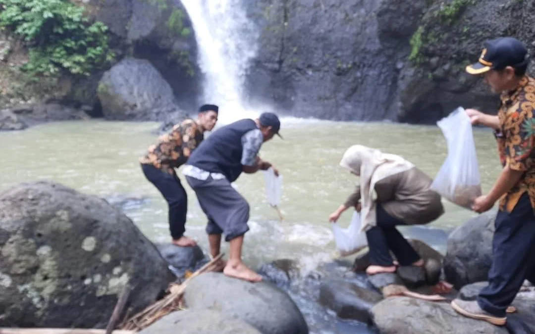 Dinas Pertanian Restocking Ribuan Ikan Nilem di DAS Kecamatan Cikakak