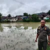 Sungai Meluap Rendam 2 Ha Lahan Sawah