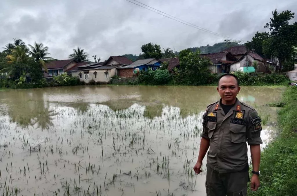 Sungai Meluap Rendam 2 Ha Lahan Sawah