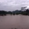 Puluhan Hektar Sawah di Jampangtengah Terendam Banjir