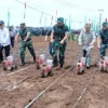 KSAD Tinjau Ketahanan Pangan Kostrad di Kecamatan Ciemas