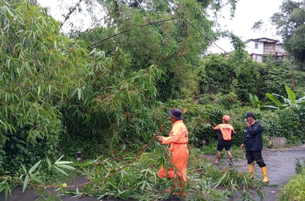 BPBD Waspadai Dampak Cuaca Ekstrem