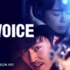 Voice