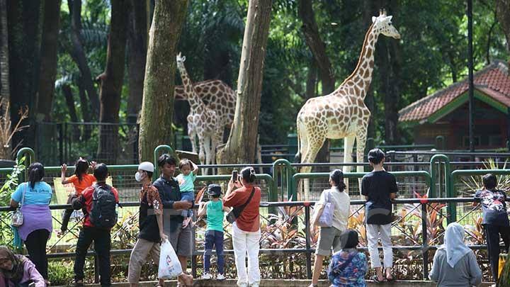 Wisata Edukasi Terbaik