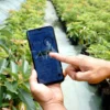 Smart Farming Pemanfaatan Teknologi untuk Meningkatkan Produktivitas Pertanian