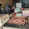 Harga Telur Ayam Naik