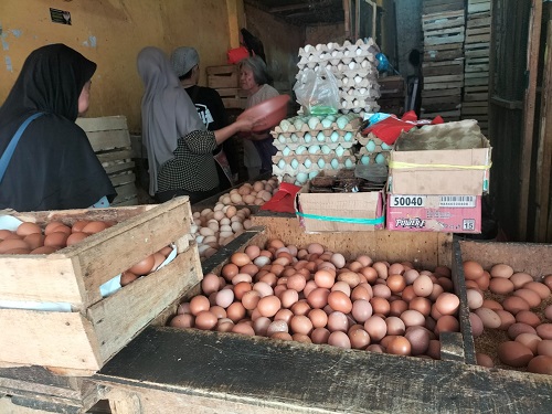 Harga Telur Ayam Naik